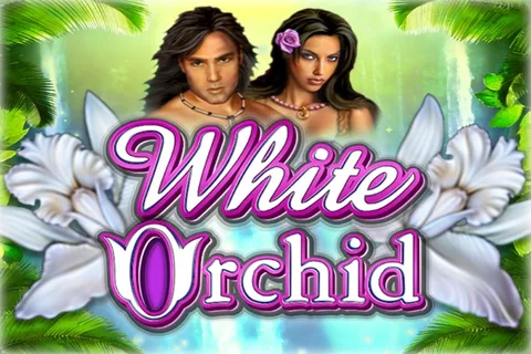 White Orchid — IGT
